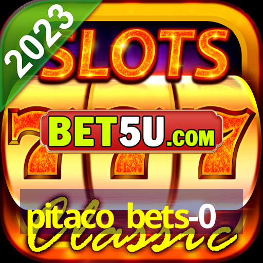 pitaco bets